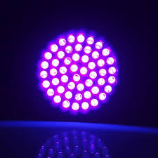 Đèn tia cực tím UV sấy keo