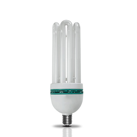 Đèn Compact Điện Quang